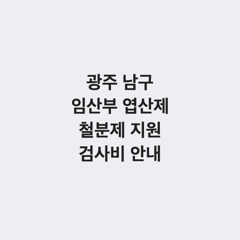 광주 남구 임산부 엽산제·철분제 지원 및 검사비 총정리